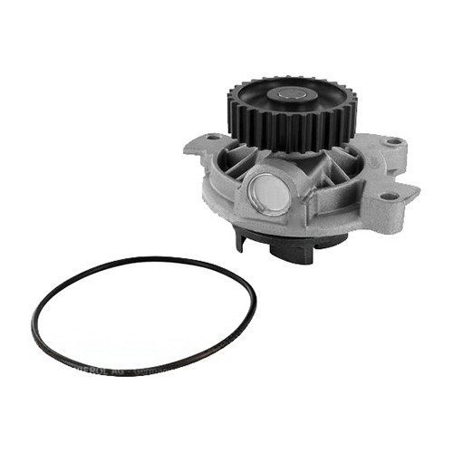     
                
                
    Water pump for Audi 80 and Audi Coupé Quattro - AC55024
