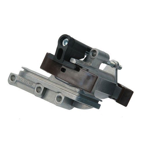  Tensor de cadena de árboles de levas para Audi A3 tipo 8L - AD20952 