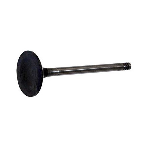  Intake valve for Audi - AD22810 