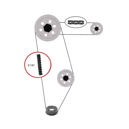 Distributieriem voor Audi 80 van 87 ->01 - AD30015