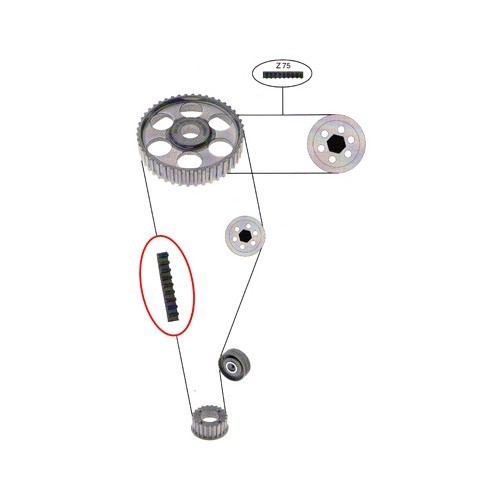 Hoofd distributieriem voor Audi 100 77 ->91 - AD30024