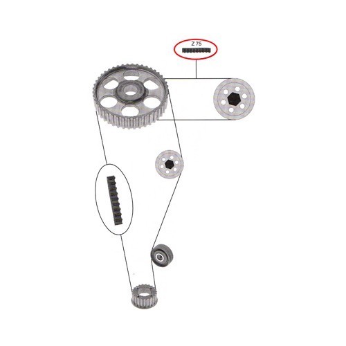 Cinto de sincronização para Audi 100 77 -&gt;91 - AD30025