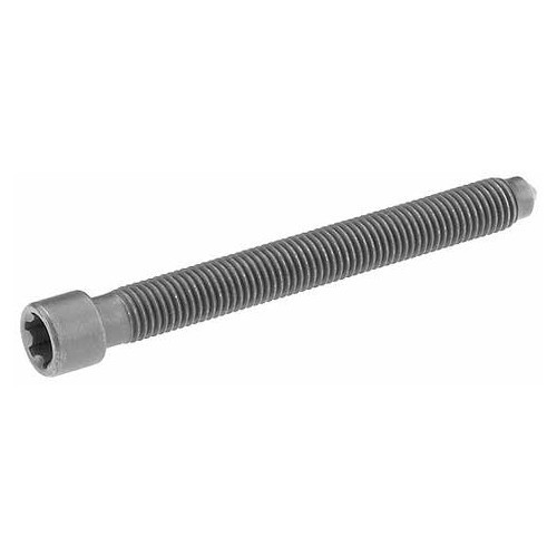  1 Tornillo de culata para Audi A6 (C4, C5) - AD83015 