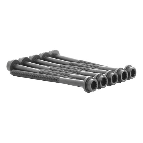 1 Tornillo de culata para AudiA3 (8P) 1.6 FSi - AD83042