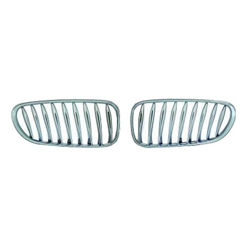     
                
                
    Kühlergrill vorne Chrom für Bmw z4 E85 Roadster und E86 Coupé (04/2002-08/2008) - BA18100
