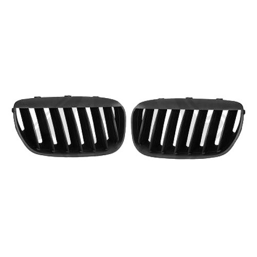  Grilles de calandres type Design pour Bmw X5 E53 (01/2003-09/2006) - Phase 2 - BA18421 