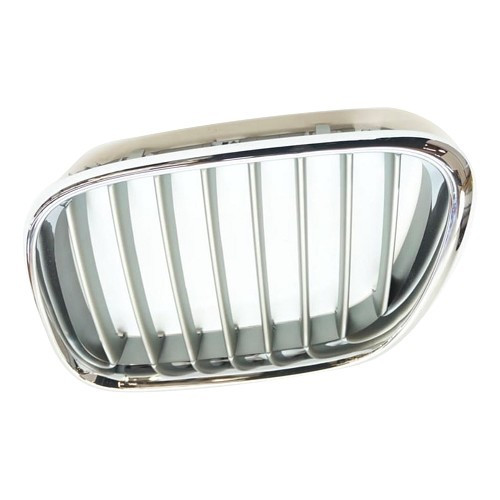 Left titanium grille for BMW X5 E53 up to ->10/03