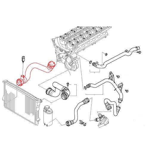 Durite d'eau inférieure de radiateur pour BMW X5 E53 - BC56893