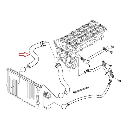 Durite d'eau inférieure entre radiateur et thermostat pour BMW Z3 (E36) - BC56942