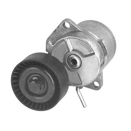  Tenditore completo per pompa dell'acqua e alternatore con rullo per BMW E36 ed E46, 316 i e 318 i/iS - BD30302 