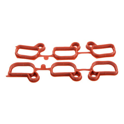  Intake manifold gaskets for E39 Petrol - BD71433 