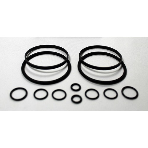  Kit de selagem para renovação do motor BMW Vanos duplo M62TU - BD71437 