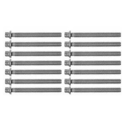 Set van 14 cilinderkopbouten voor BMW 3 Serie E36 en 5 Serie E34 E39 6-cilinder benzinemotoren M50 en M52 in grijs gietijzer