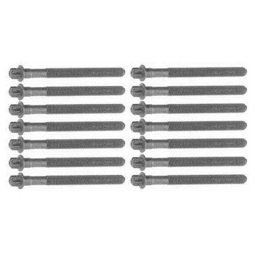Set of 14 cylinder head bolts for BMW 3 Series E36 E46 and 5 Series E39 6-cylinder petrol engines M52 and M54 in aluminium