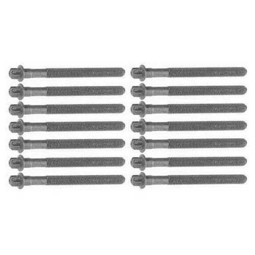 Jeu de 14 vis de culasse pour BMW Série 3 E36 E46 et Série 5 E39 6 cylindres essence - moteurs M52 et M54 en aluminium