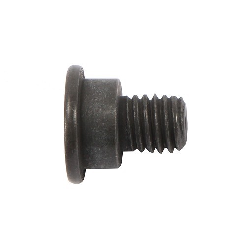 Brake disc locking screw - M8 x 14 - BH27310