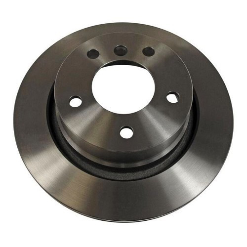  Rear disc 294 x 19 mm for BMW Z4 (E85-E86) - BH30816 