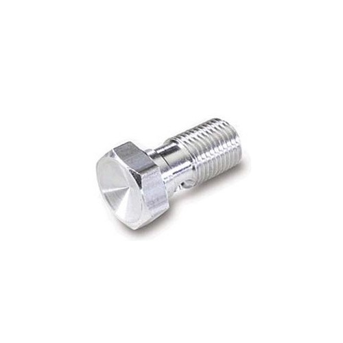  Single brake fluid passage screw - M10 x 100 - BI00621 