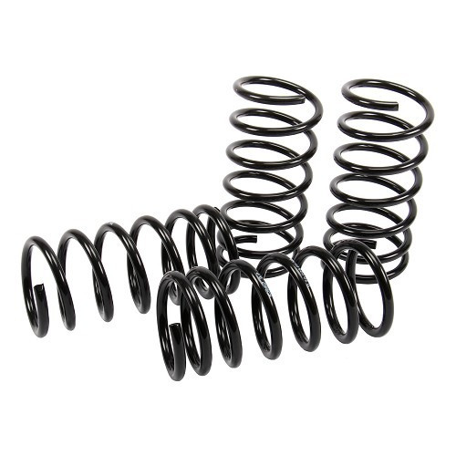 EIBACH short springs for BMW 02 E10 series