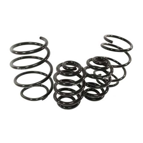 Kit de 4 muelles cortos Eibach -25mm para BMW E46 Compact 316Ti y 318Ti - BJ53200