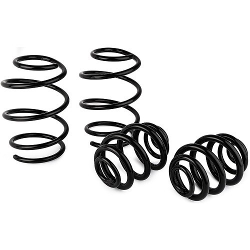  Kit de 4 muelles cortos Eibach -30mm para BMW E46 316i,318i y 318Ci - BJ53220 