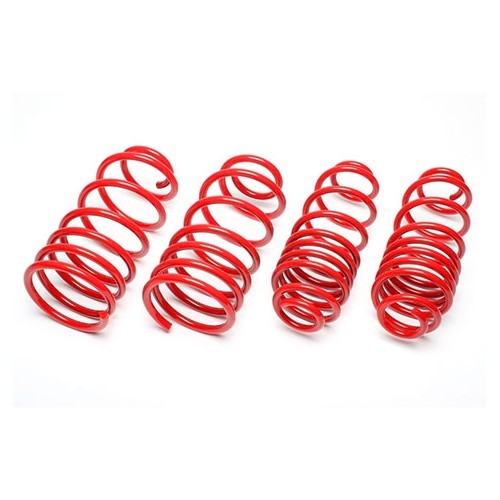  4 short springs for BMW E30 - BJ53296 