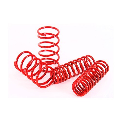  Short suspension springs for BMW series 5 E28 - BJ53298 