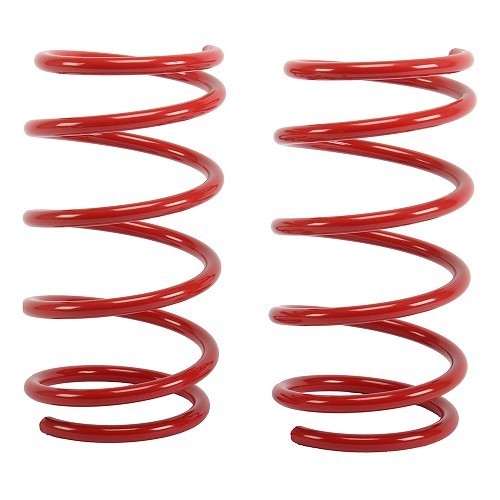  2 short springs for BMW E34 Saloon - BJ54314 