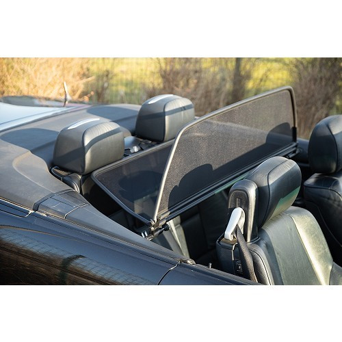 Wind shield, anti-wind net for BMW E46 - BK04004