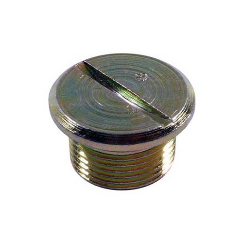  Oil regulatorplug 22mm for Type 4, 1600 CT, WBX - C006715 