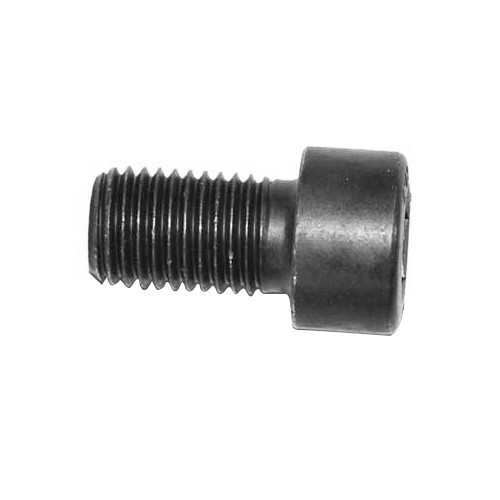 1 Tornillo de volante motor WBX para Transporter 1.9 / 2.1 - C133597