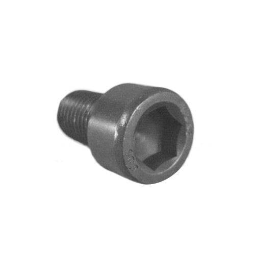  1 WBX flywheel screw for Transporter 1.9 / 2.1 - C133597 