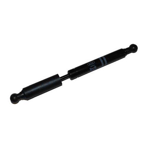 Shock absorber on Diesel pump for Transporter Diesel 92 ->96 - C198052