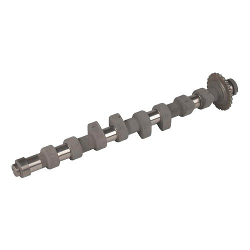  051 109 022 B : camshaft - C224620 