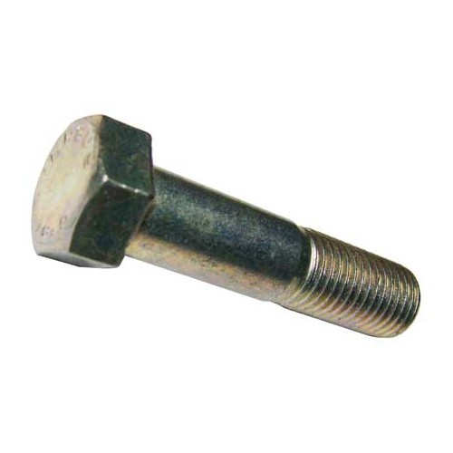  133 513 471 : hexagonal head bolt - C261934 