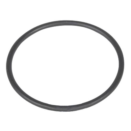  seal ring 54,5X3 - C279325 