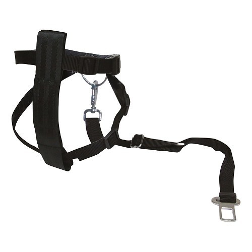 Arnés de seguridad para perros pequeños (30-60 cm) - CF13552