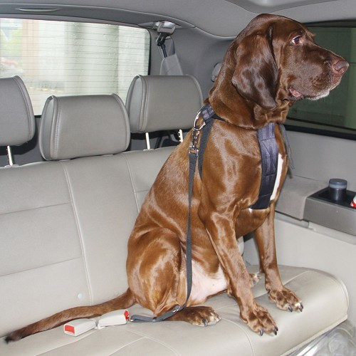 Arnês de segurança para cães grandes (80-110 cm) - CF13553