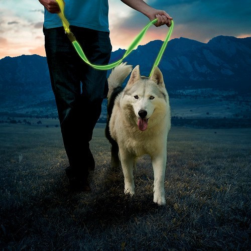 Laisse lumineuse NITEDOG Led Leash NITE IZE - Verte - CF13842