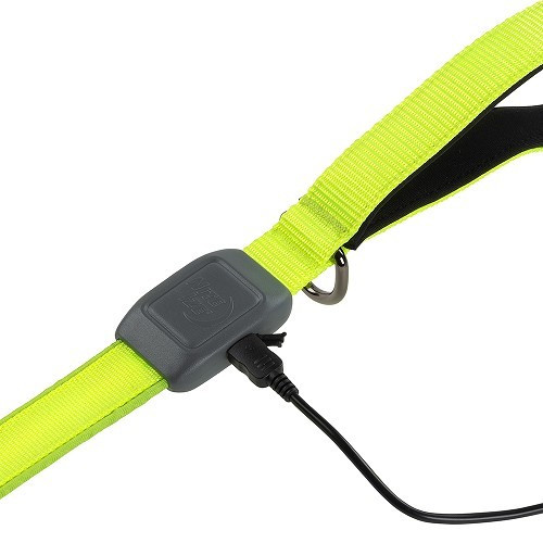 Leuchtleine NITEDOG Led Leash NITE IZE - Grün - CF13842