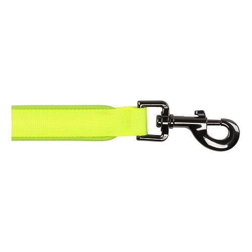 NITEDOG Led Leash NITE IZE - Green - CF13842