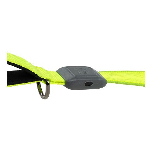 NITEDOG Led Leash NITE IZE - Green - CF13842