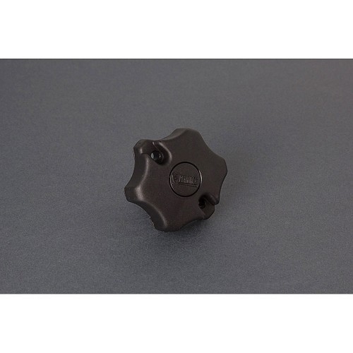  Bouton de rechange NOIR pour BIKE BLOCK PRO FIAMMA - Ref 98656-291 - CP10393 