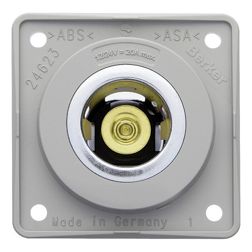  BERKER 12 V Grey Socket Ø 21 mm - CT10717 