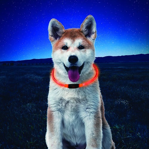  NITEHOWL Safety Necklace NITE IZE Halsband für Hunde - Neonorange - CT10820 