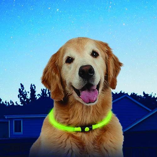 NITEHOWL Safety Necklace NITE IZE for dogs - Fluorescent green