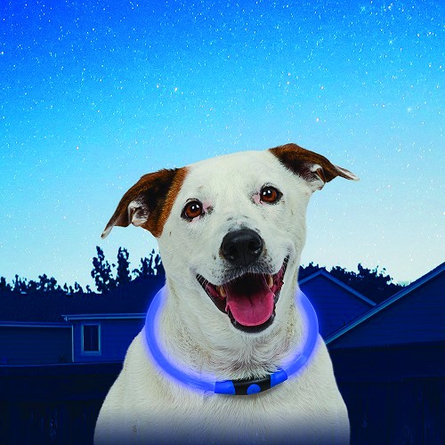  NITEHOWL Safety Necklace NITE IZE Halsband für Hunde - Blau - CT10822 