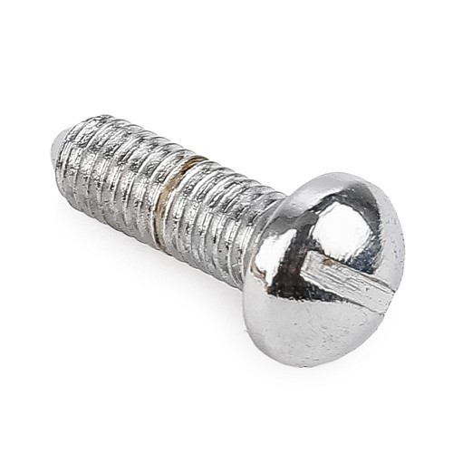 Original quality stainless steel rear wing slotted screw for A-AZAM 2cvs