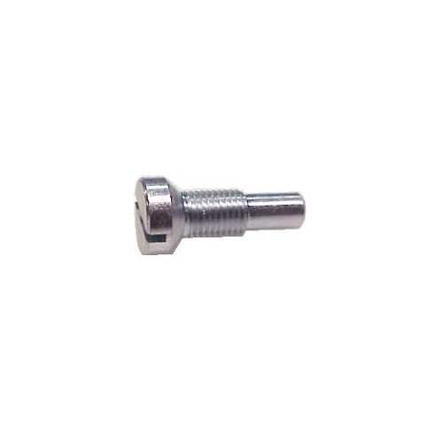  Mirror screws for DYANEs and Acadianes - CV23112 