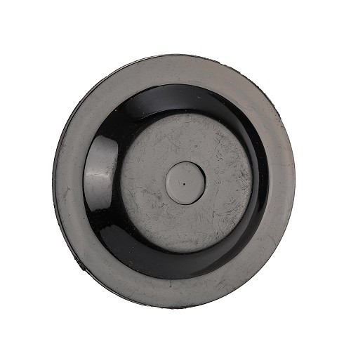 Plastic hub cap for Dyanes and Acadianes